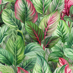  Green palm leaf pattern. Tropical plants. Watercolor botany.