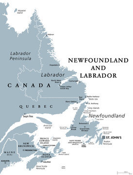 Newfoundland and Labrador, gray political map. Province of Canada, in the Atlantic region. With capital St. Johns, Newfoundland island and continental region of Labrador between Quebec and Atlantic.