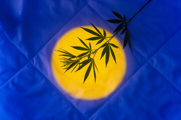 Night background with moonlight, hemp branch for insomnia cannabis products