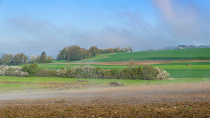Fototapeta premium Paysage printanier à la campagne
