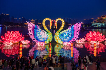 New Year's Lantern Butterfly