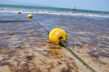 noya flotando en el mar