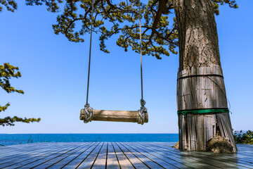 日間賀島にある松の木に吊るしたブランコ　愛知県南知多町