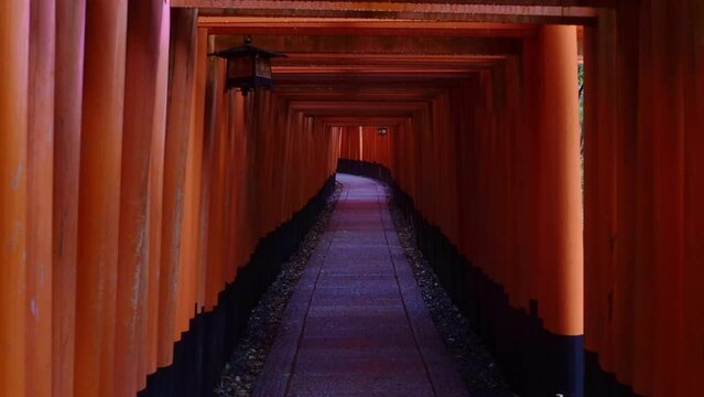 京都-千本鳥居-
