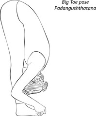 Sketch of young woman practicing yoga, doing Big Toe pose. Padangushthasana. Standing and Forward Bend. Intermediate. Isolated vector illustration.
