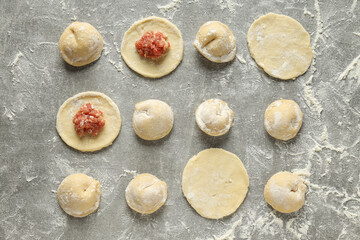 Cooking home food concept with raw dumplings