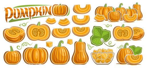 Vector Pumpkin Set, big collection of outline illustration pumpkin and squash vegan compositions, set of cut out various organic fruits with raw seeds, chopped gourd in glass plate and text pumpkin