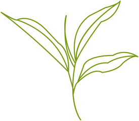 Green tea leaf minimal line icon