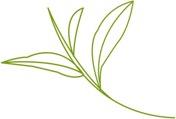 Green tea leaf minimal line icon