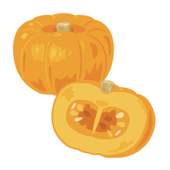 西洋のカボチャ断面セット1