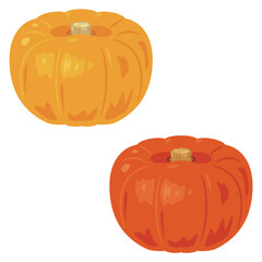 西洋のカボチャ1