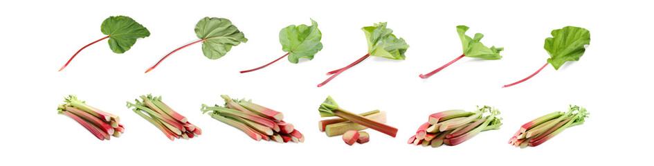 Set with fresh rhubarb stalks isolated on white