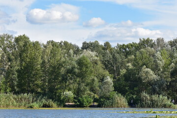 lake in the forest