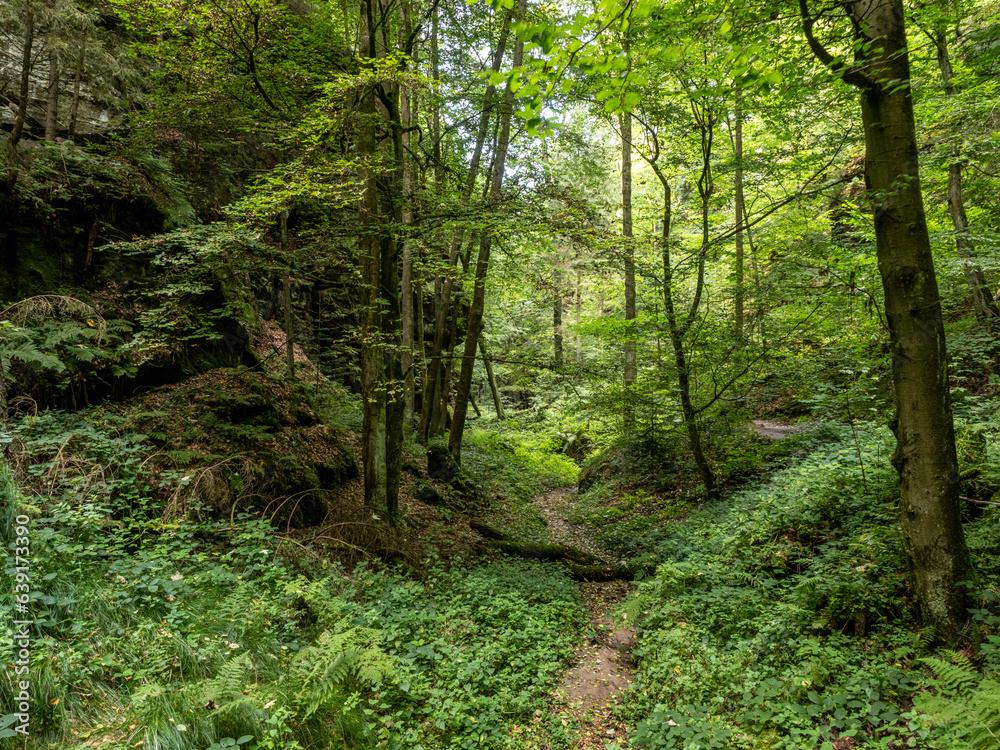 Canvas Prints Elbsandsteingebirge