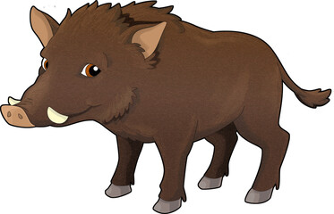 Cartoon animal wild pig boar isolated illustration for children