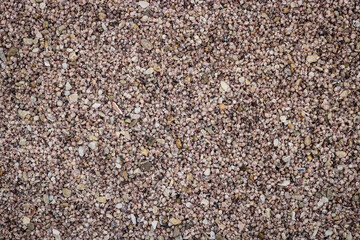 Background of small pinkish shells, texture for design.
