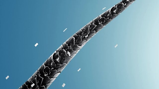 3d video for professional hair care product advertisement. Transparent blue bubble containing essence penetrates the hair, making dry hair become shiny on a blue background