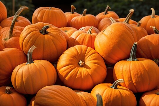 A high resolution photo of pumpkins displayed nicely for sale at a farmers market, generative ai
