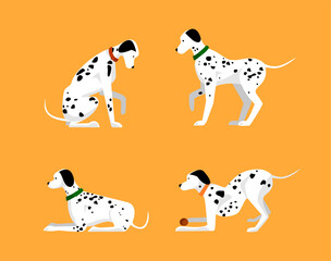 Set of domestic animals, four Dalmatians playing and training, happy dogs pets