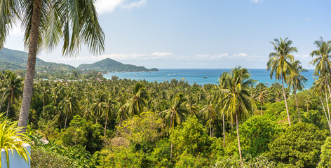 Fototapeta na wymiar Paradise exotic Koh Tao island in Thailand panorama. Tropical panoramic landscape with palm trees, blue sky and view on sea horizon from the high in sunny day