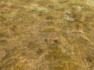 Shallow river flowing over sandy bottom 2