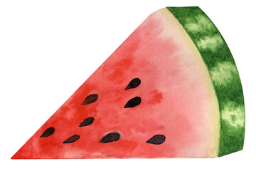 Watercolor drawing of watermelon.  Drawn by hand.