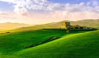 Photo sur Plexiglas Vert green field in countryside at sunset in the evening light. beautiful spring landscape in the mountains. grassy field and hills. rural scenery