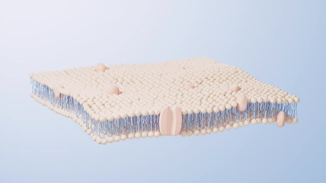 Cell membrane structure background, 3d rendering.