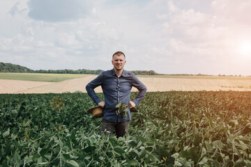Farmer, agronomist in the soybean field. Controlling the growth of agricultural crops. Green soy with beans. Front view