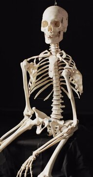 Vertical video of halloween skeleton with copy space on black background
