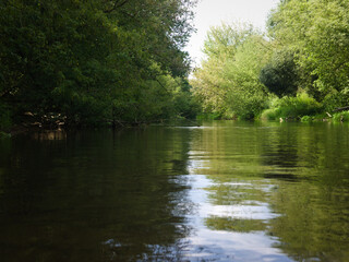 Swider river in the summer afternoon