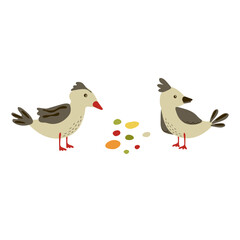 Two birdies isolated on a white background. Sparrows peck at grains. clip art