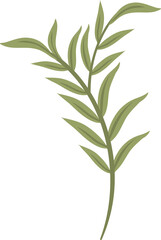 Obraz premium plant leaves 308