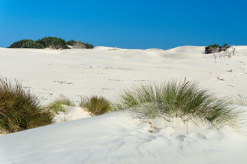 Is arenas biancas beach with dunes of fine white sand near Porto Pino in Sant'Anna Arresi, Teulada, Sardinia, Italy