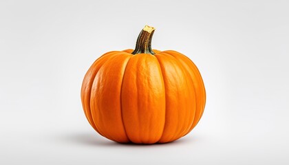 Obraz premium pumpkin on a white background