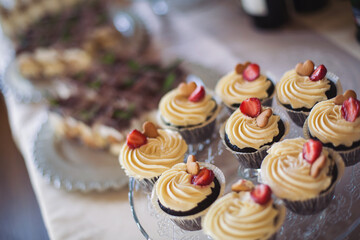 Closeup view photography of many small souffle cakes served on plate on table for cocktail party or on shelves of store. Christmas, birthday or wedding holiday dinner. catering food.  tasty dessert.