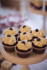 Closeup view photography of many small souffle cakes served on plate on table for cocktail party or on shelves of store. Christmas, birthday or wedding holiday dinner. catering food.  tasty dessert.