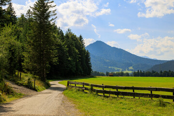 Field path between green mowed meadows towards Heiterwanger lake with mountains in the background on a sunny day with blue sky in Heiterwang, Austria