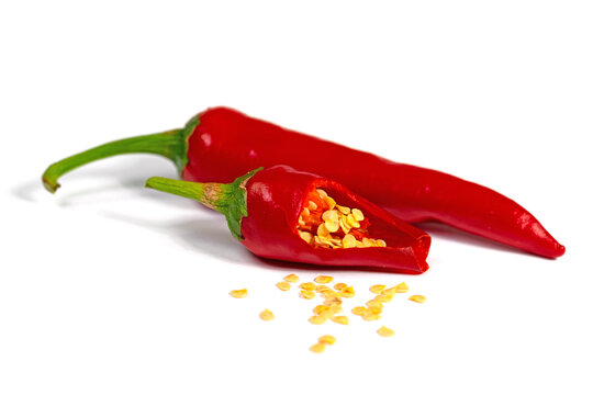 Samen vom Spanischen Pfeffer, Capsicum annuum