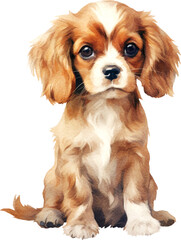 Fototapeta premium Cavalier king charles spaniel dog watercolour illustration created with Generative AI technology