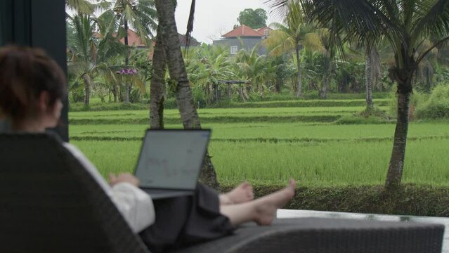 Rear view of woman looking at forex dynamics, stock market analysis on computer screen at night. Concept of online trading, money investment and traveling