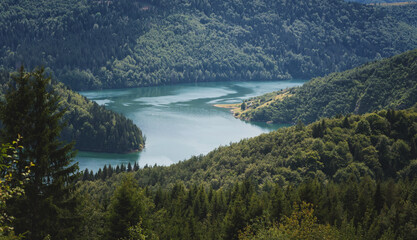 Fototapeta na wymiar Zlatar lake in the mountains in Serbia, beautiful idyllic mountain summer landscape.