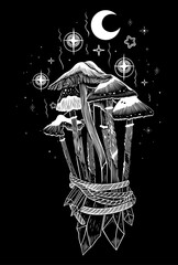 Pilze Zauberpilze mit Sternen und Kristallen. Okkultes Vektor Design für Halloween Herbst Samhain Pilzsammler und Tattoo Fans. - 639211914