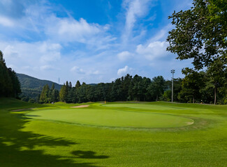 Green grass Golf course cloud and blue sky