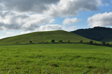 Obraz premium 北海道の草原地帯