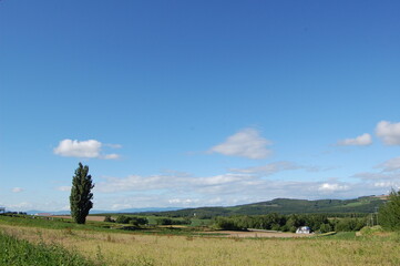 Obraz premium landscape with trees (美瑛の丘)