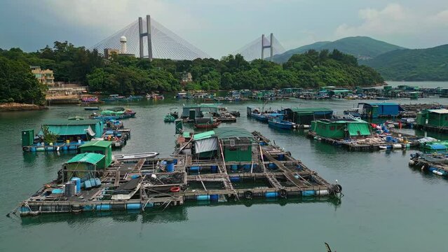 Aerial over the fishing boats and rafts of the fish farms on Ma Wan island, Hong Kong, China. In the background can be seen the Kap Shui Mun Bridge. Drone low dolly forward shot