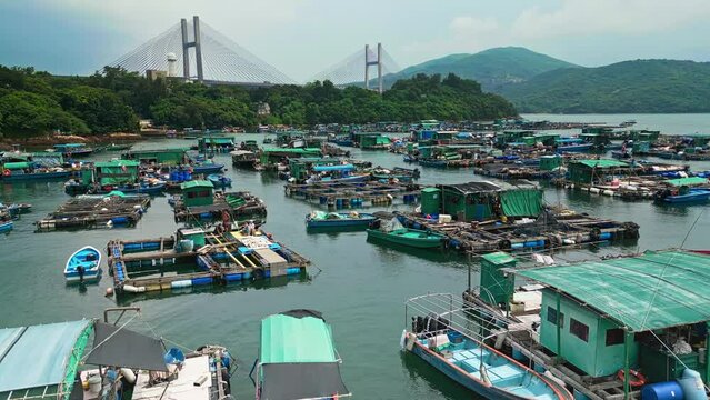 Aerial over the fishing boats and rafts of the fish farms on Ma Wan island, Hong Kong, China. In the background can be seen the Kap Shui Mun Bridge. Drone dolly forward shot