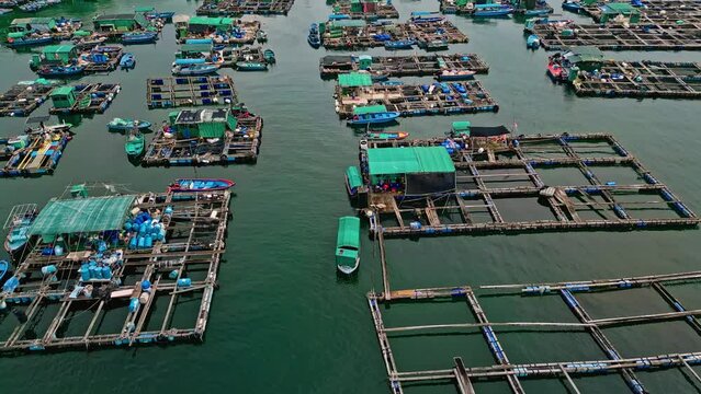 Aerial over the fishing boats and rafts of the fish farms on Ma Wan island, Hong Kong, China. In the background can be seen the Kap Shui Mun Bridge. Drone low dolly forward and tilt up shot
