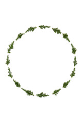 Fototapeta premium Juniper fir winter wreath. Minimal Christmas, Noel, Yule frame design for card, invitation, logo, card, menu. On white background.